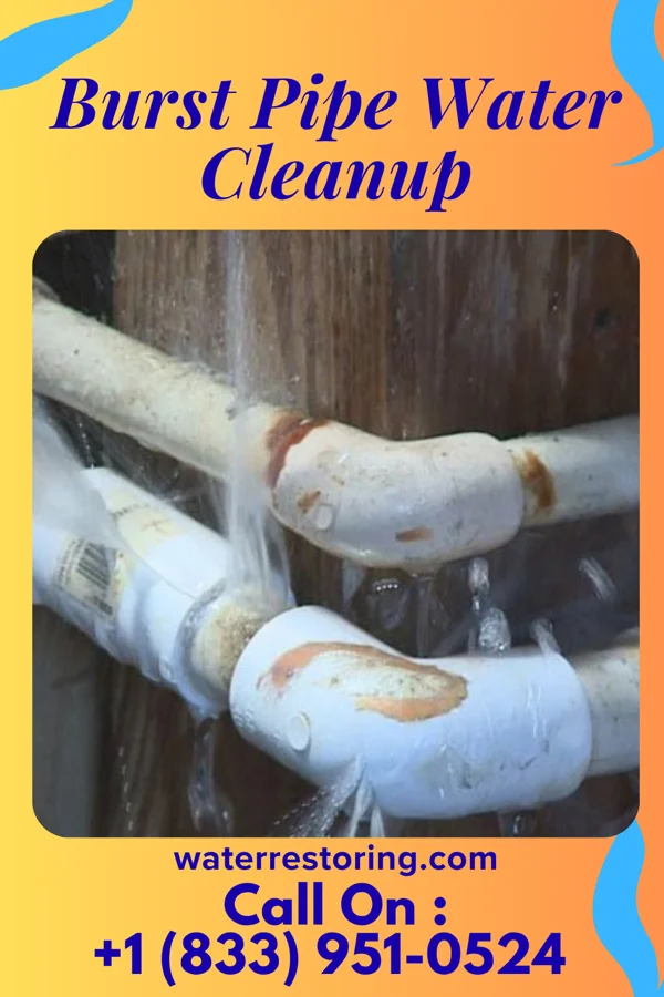 Burst Pipe Water Cleanup in Bolivar, MS