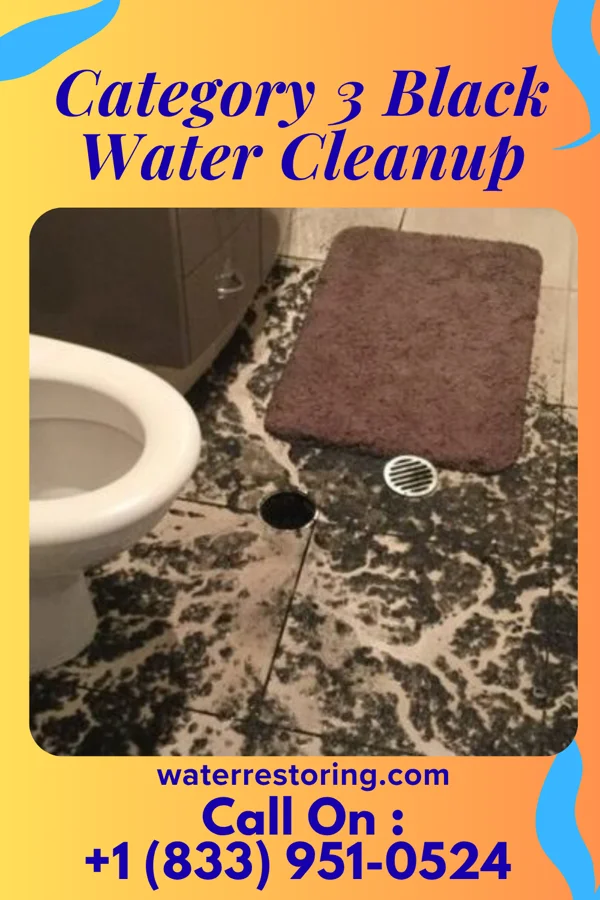 Category 3 Black Water Cleanup in Bolivar, MS