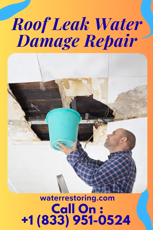 Roof Leak Water Damage Repair in Bolivar, MS